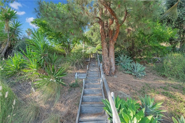3777 N Arrowhead Ave, San Bernardino, CA 92405 - view of yard with stairs