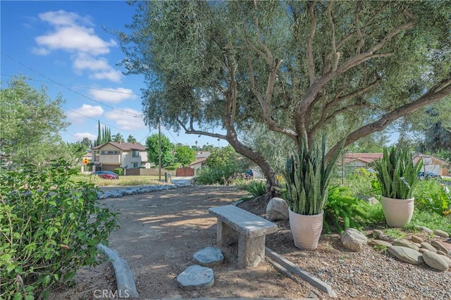 3777 N Arrowhead Ave, San Bernardino, CA 92405 - view of yard