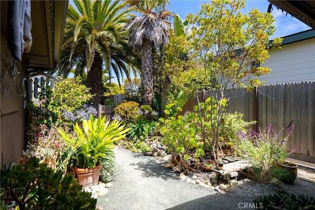 1521 5th St, Los Osos, CA 93402 - view of yard