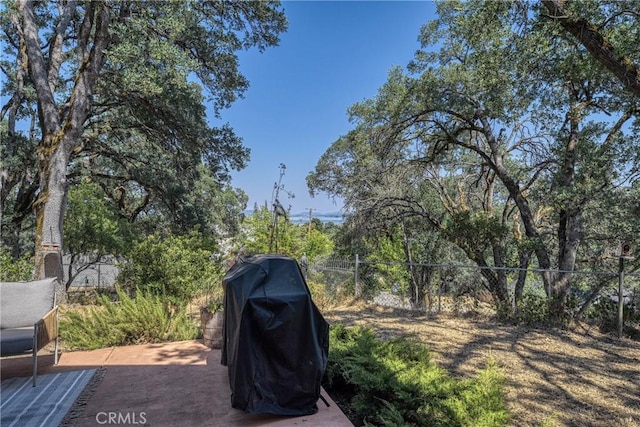 790 Manzanita St, Lakeport, CA 95453 - view of yard