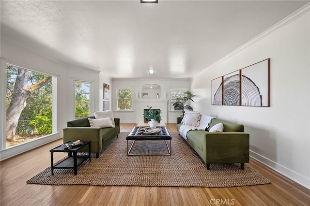790 Manzanita St, Lakeport, CA 95453 - living room with wood finished floors and ornamental molding