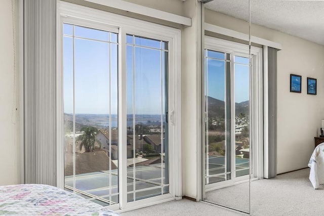 10323 Pine Grove St, Spring Valley, CA 91978 - carpeted bedroom with access to outside