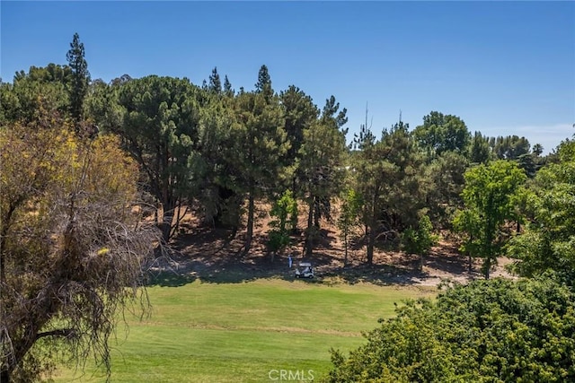 12350 Mclennan Ave, Granada Hills, CA 91344 - view of grassy yard