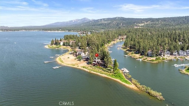 115 Lagunita Ln, Big Bear Lake, CA 92315 - bird's eye view of a water and mountain view