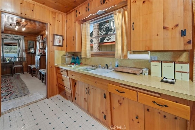 115 Lagunita Ln, Big Bear Lake, CA 92315 - kitchen featuring light countertops, wooden ceiling, wooden walls, and light floors