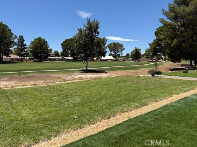15163 Tournament Dr, Helendale, CA 92342 - view of home's community with a yard