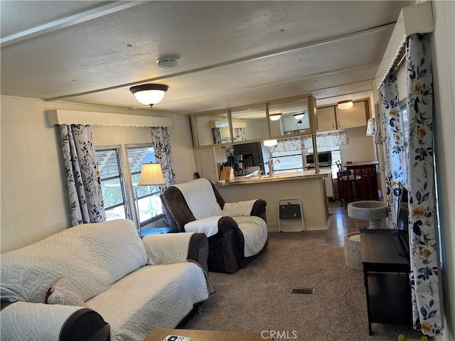 38150 Sumac Ln, Squaw Valley, CA 93675 - living area with carpet