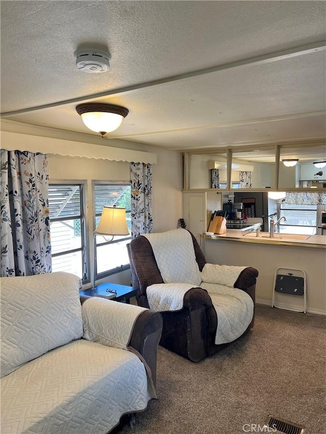 38150 Sumac Ln, Squaw Valley, CA 93675 - living area with carpet and a textured ceiling