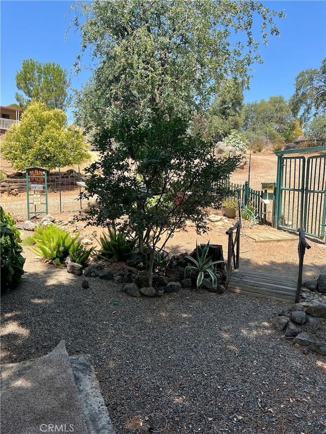 38150 Sumac Ln, Squaw Valley, CA 93675 - view of yard