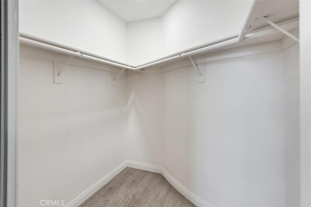 12152 Napoli Dr, Cerritos, CA 90703 - walk in closet featuring light wood-type flooring