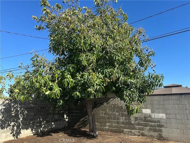 350 E 223rd St, Carson, CA 90745 - view of yard