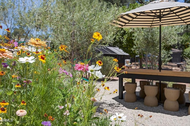 995 S La Luna Ave, Ojai, CA 93023 - view of yard