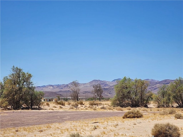 31312 Fort Cady Rd, Newberry Springs, CA 92365
