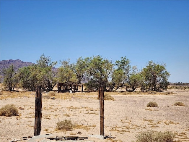 31312 Fort Cady Rd, Newberry Springs, CA 92365