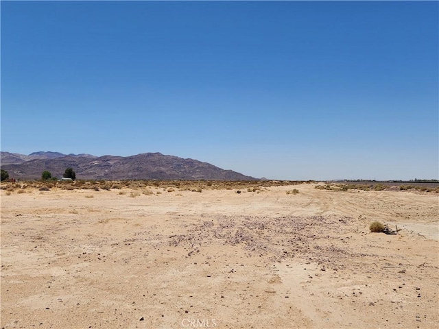 31312 Fort Cady Rd, Newberry Springs, CA 92365