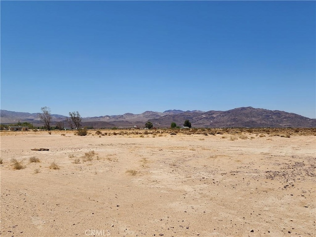 31312 Fort Cady Rd, Newberry Springs, CA 92365