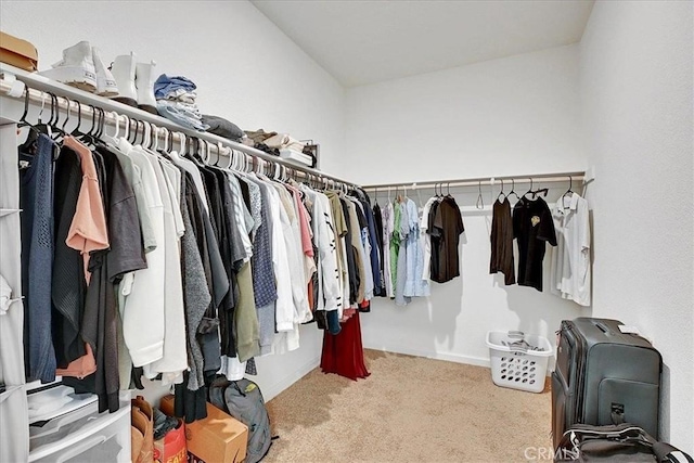 5516 Sunhaven St, Marysville, CA 95901 - walk in closet featuring carpet floors