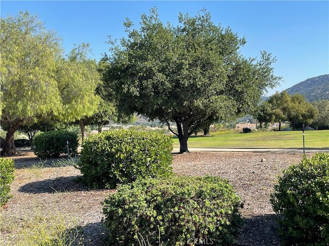 42730 Settlers Rdg, Murrieta, CA 92562 - view of yard featuring a mountain view