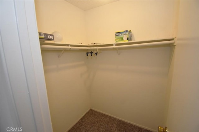 10246 Chaparral Way Unit G, Rancho Cucamonga, CA 91730 - walk in closet with carpet