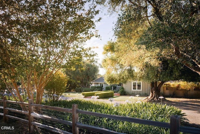 3041 Fairlea Rd, Santa Ynez, CA 93460 - view of yard