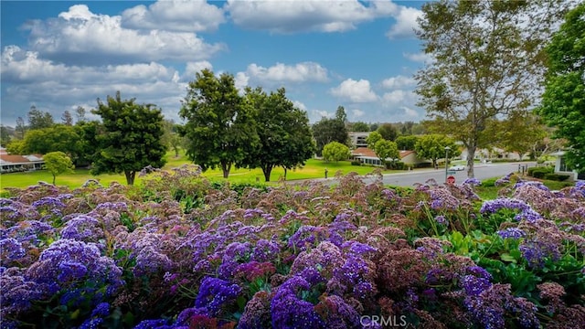 24055 W Paseo Del Lago Unit 753, Laguna Woods, CA 92637 - view of woods
