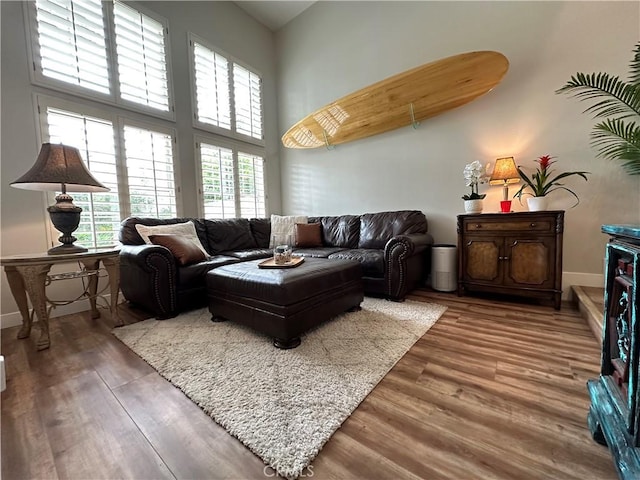 27721 Rubidoux, Mission Viejo, CA 92692 - living room featuring wood finished floors and a high ceiling
