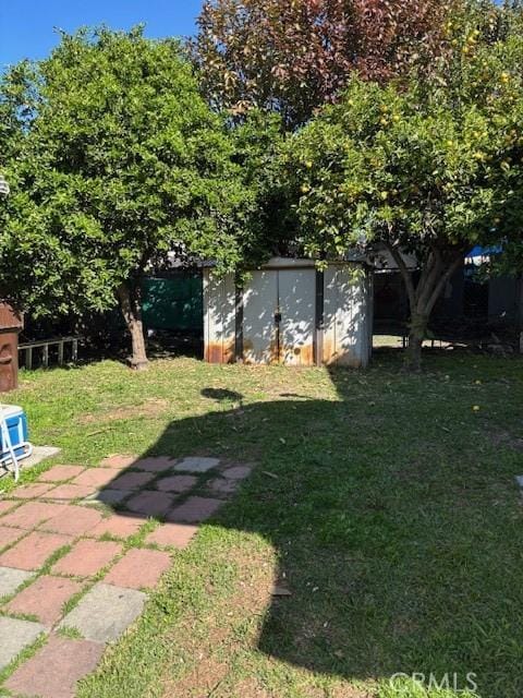 711 N Crane Ave, Compton, CA 90221 - view of grassy yard featuring a storage unit