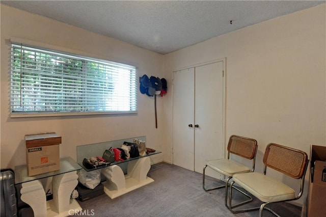 12108 Muriel Dr, Lynwood, CA 90262 - living area featuring carpet floors and a textured ceiling