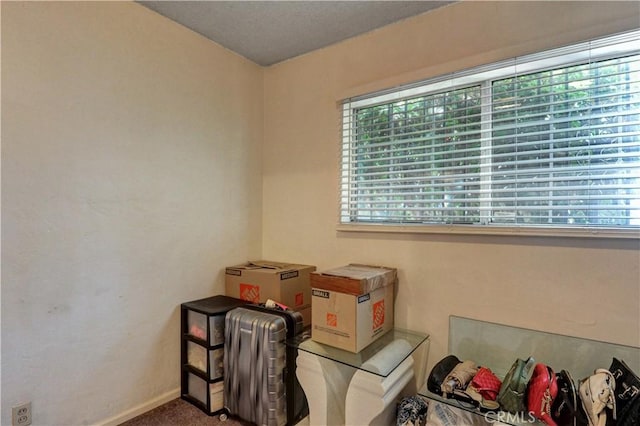 12108 Muriel Dr, Lynwood, CA 90262 - view of storage
