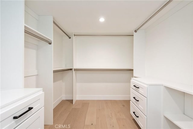 19281 Sierra Inez Rd, Irvine, CA 92603 - spacious closet with light wood-type flooring