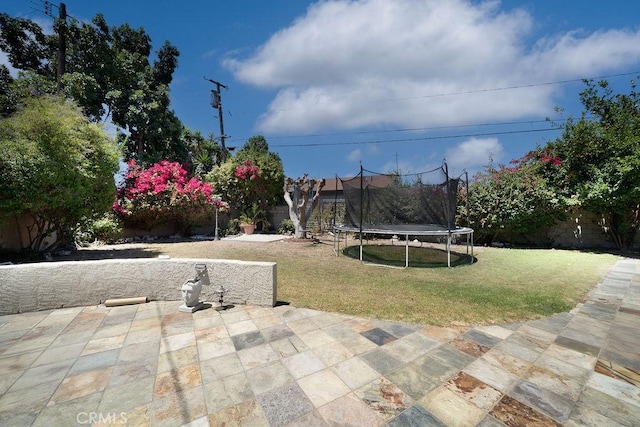 11302 Cheddar St, Norwalk, CA 90650 - fenced backyard with a trampoline and a patio