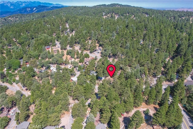 31776 Panorama Dr, Running Springs, CA 92382 - photo 25