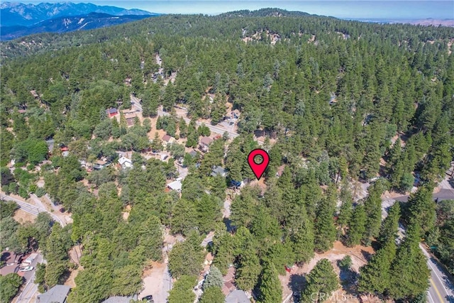 31776 Panorama Dr, Running Springs, CA 92382 - photo 26