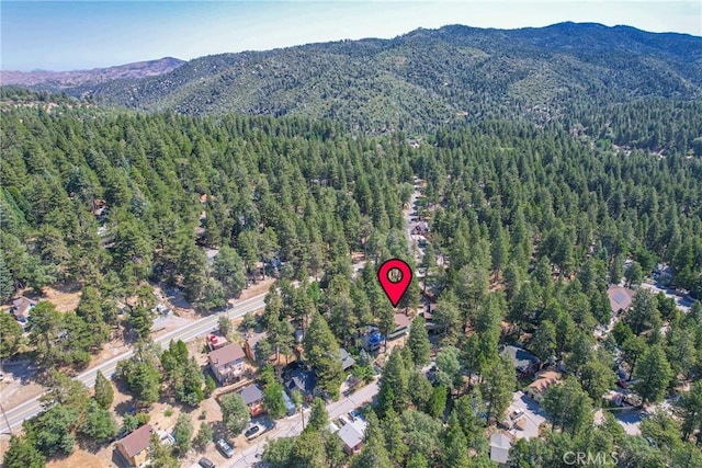 31776 Panorama Dr, Running Springs, CA 92382 - photo 24