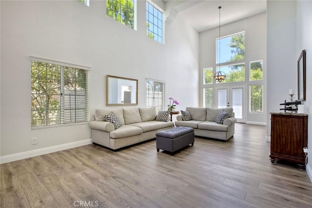32197 Callesito Fadrique, Temecula, CA 92592 - living area with a high ceiling and wood finished floors