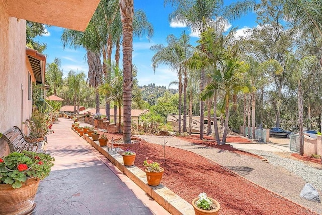 1153 Merritt Dr, El Cajon, CA 92020 - view of yard