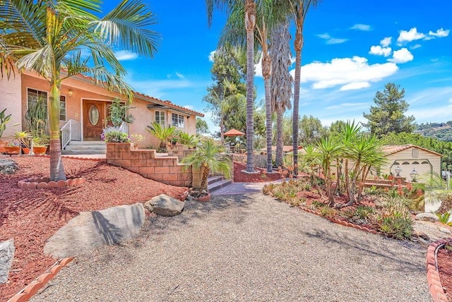 1153 Merritt Dr, El Cajon, CA 92020 - view of yard