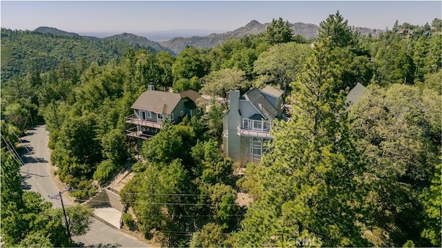 915 Breithorn Dr, Lake Arrowhead, CA 92352 - view of subject property featuring a heavily wooded area