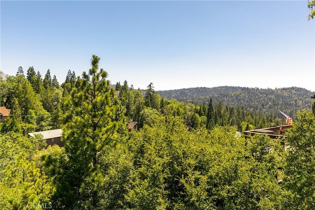 915 Breithorn Dr, Lake Arrowhead, CA 92352 - view of mountain background with a forest