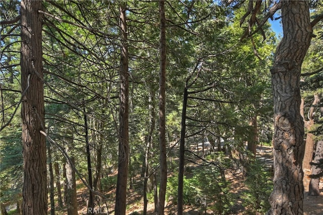 788 Buckingham Sq, Lake Arrowhead, CA 92352 - view of woods