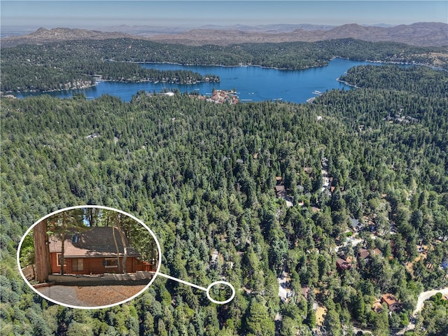 788 Buckingham Sq, Lake Arrowhead, CA 92352 - bird's eye view of a water and mountain view