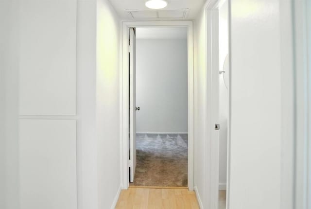 1817 E Grand Ave Unit 6, Escondido, CA 92027 - corridor featuring light colored carpet and light wood-style floors