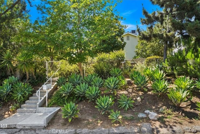 13239 Sayre St, Sylmar, CA 91342 - view of yard