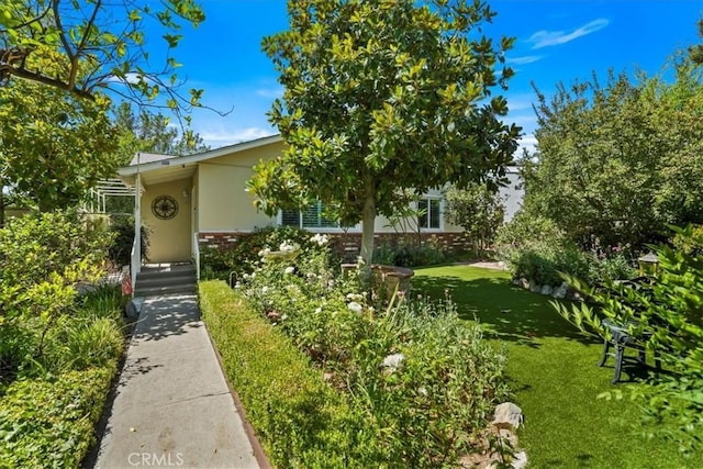 13239 Sayre St, Sylmar, CA 91342 - view of property hidden behind natural elements with a front lawn and stucco siding