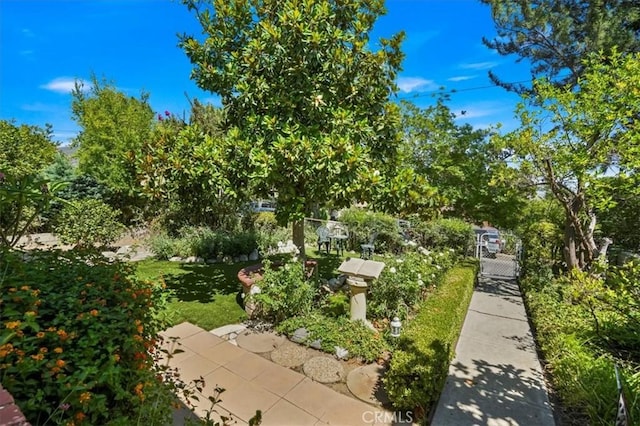 13239 Sayre St, Sylmar, CA 91342 - view of property's community featuring a gate