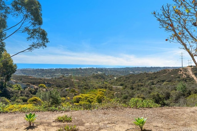 245 Fairlee Ln, Encinitas, CA 92024 - view of mountain backdrop
