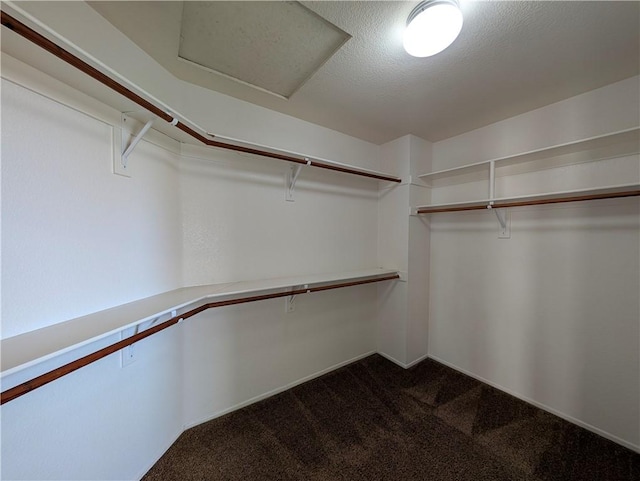 31864 Corte Montecito, Temecula, CA 92592 - walk in closet with dark carpet and attic access