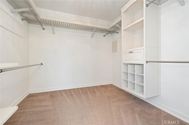 29 Hemingway Ct, Trabuco Canyon, CA 92679 - walk in closet with carpet