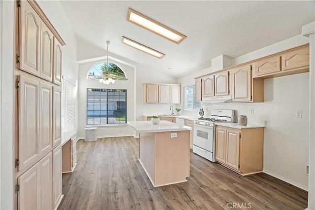 20060 Canyon View Dr, Canyon Country, CA 91351 - kitchen featuring white appliances, light brown cabinetry, under cabinet range hood, light countertops, and vaulted ceiling
