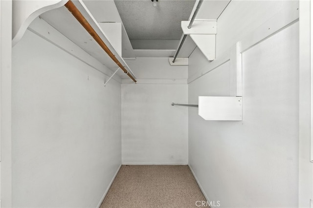 1181 Sandlewood Dr, Hemet, CA 92543 - spacious closet featuring carpet
